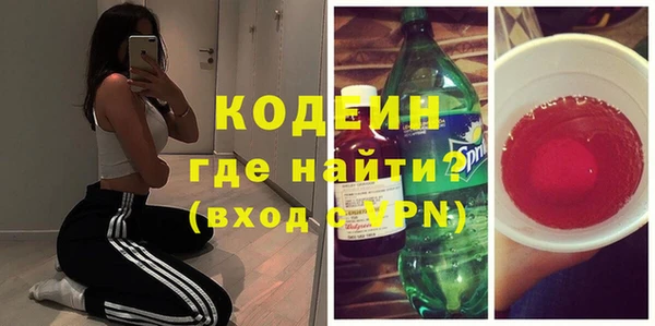 гидра Вяземский