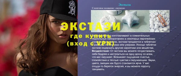 гидра Вяземский