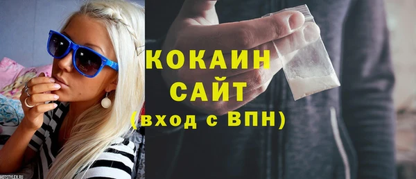 гидра Вяземский