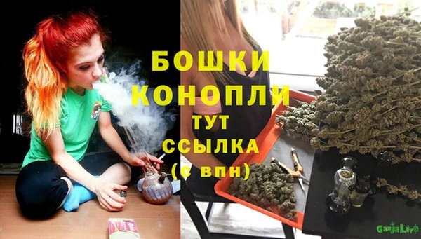 гидра Вяземский