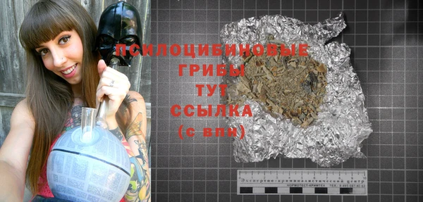 jwh Гусь-Хрустальный