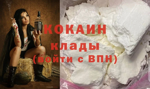 гидра Вяземский
