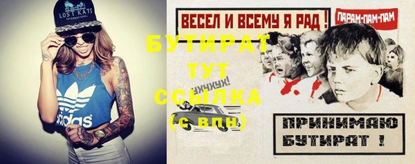 гидра Вяземский
