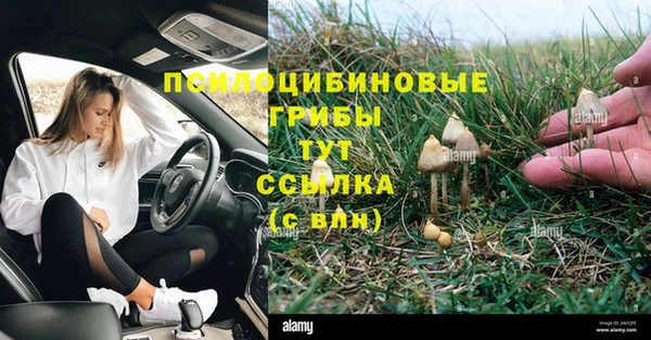 jwh Гусь-Хрустальный