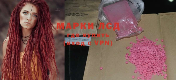 гидра Вяземский