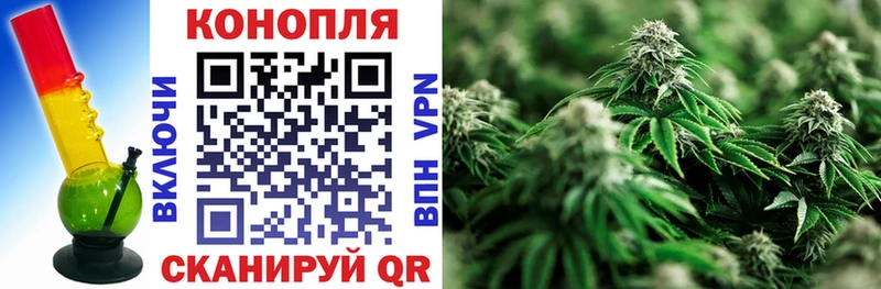 как найти наркотики  Далматово  Шишки марихуана Ganja 