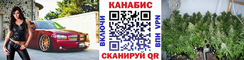 Канабис индика Далматово
